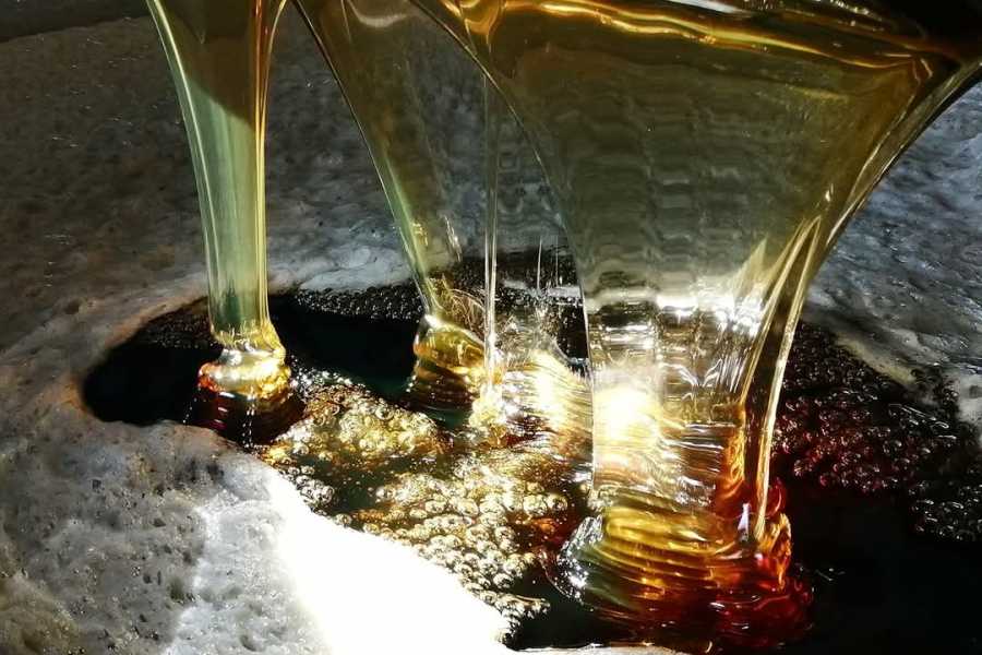 Modenatur Alla scoperta del mondo delle api - Cimone Slow