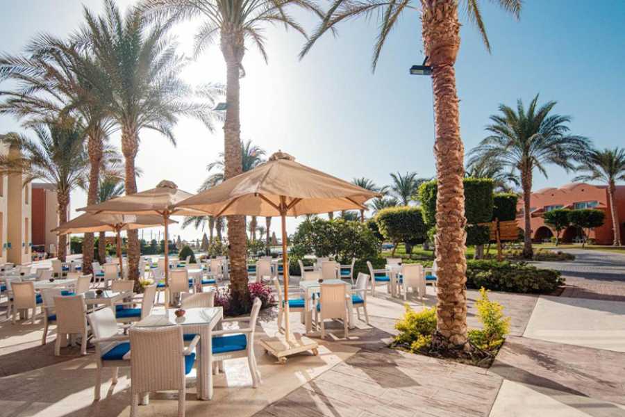 Egypt Tour packages Transfer from Novotel Beach to Marsa Alam Airport