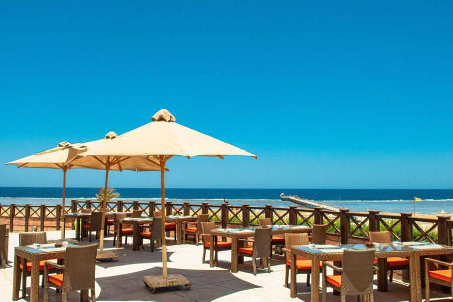 Egypt Tour packages Transfer from Novotel Beach to Marsa Alam Airport