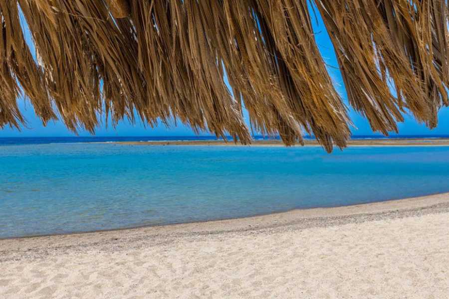 Egypt Tour packages Transfer from Utopia Beach Club to Marsa Alam Airport