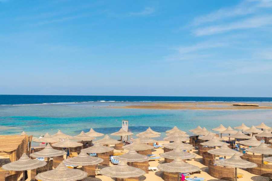 Egypt Tour packages Transfer from Utopia Beach Club to Marsa Alam Airport