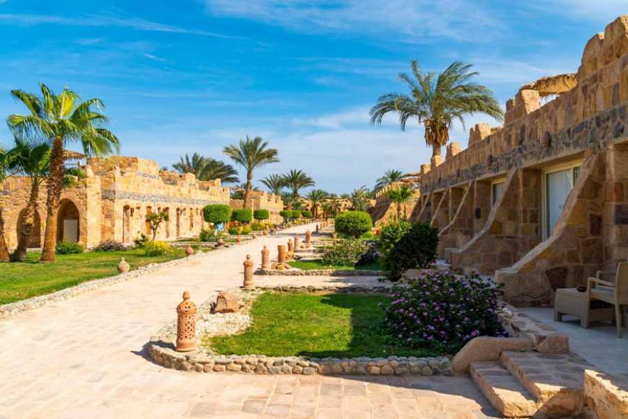 Egypt Tour packages Transfer from Utopia Beach Club to Marsa Alam Airport