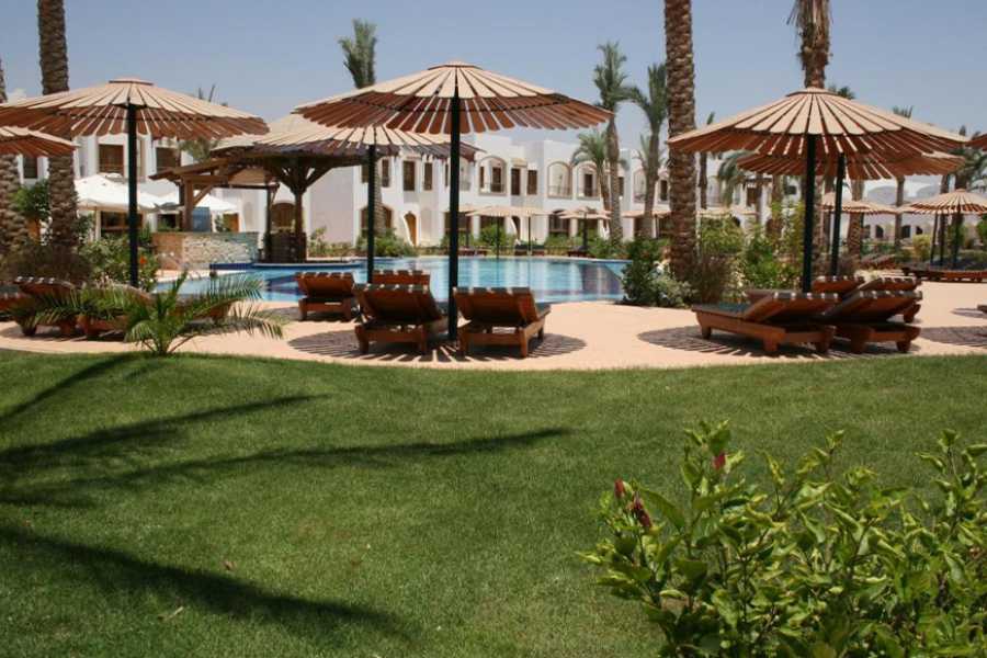 Egypt Tour packages Transfer from Coral Hills Resort to Marsa Alam Airport
