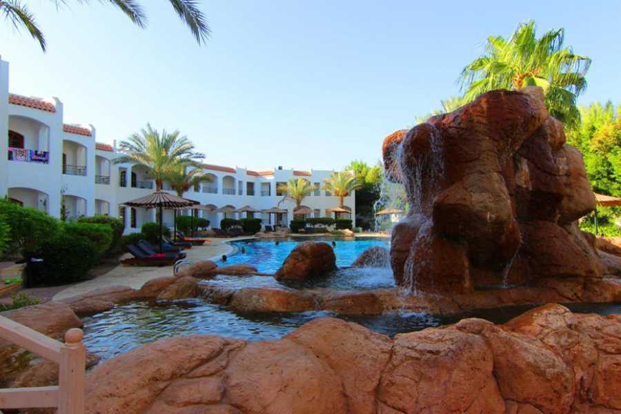 Egypt Tour packages Transfer from Flamenco Beach & Resort to Marsa Alam Airport
