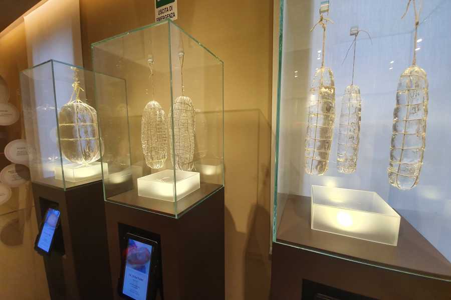 Modenatur Visita del MUSA Museo della Salumeria - 30 anni di Modenatur