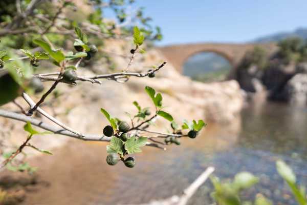 Mitfahrgelegenheit Fango Fluss