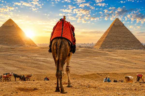Sunrise Giza Pyramids Tour with Camel Ride