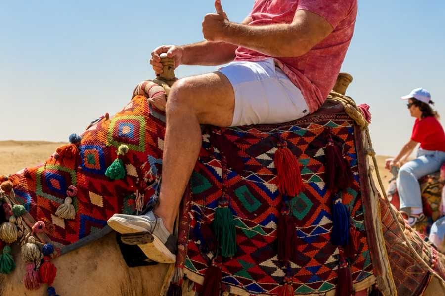 Let`s Explore Egypt Overnight Cairo Layover Experience