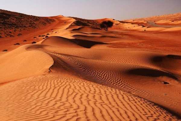 Above the Desert (Hot Air Ballon + Wadi Hawer)