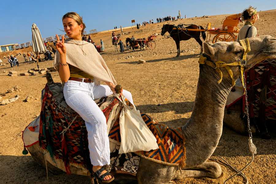 Let`s Explore Egypt Grand Egyptian Museum & Pyramids Tour from Alexandria Port