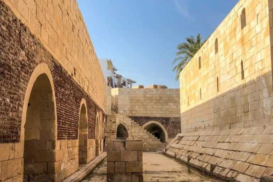 Let`s Explore Egypt El Alamein Day Tour from Alexandria Port