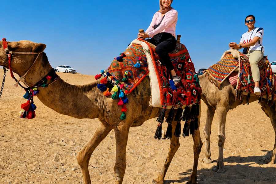 Let`s Explore Egypt Private Cairo Tour from Alexandria Port