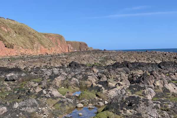 Bespoke Dunnottar Castle & Highland Boundary Geology