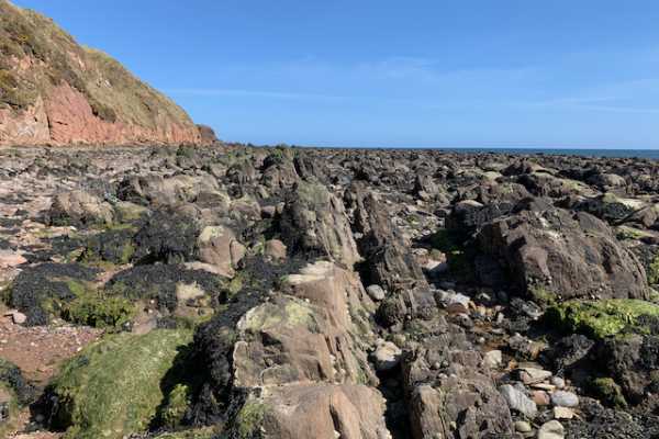 Bespoke Dunnottar Castle & Highland Boundary Geology