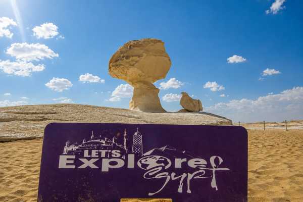 1 Day Bahariya Oasis Tour