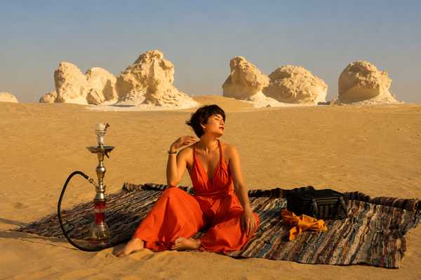 1 Day Bahariya Oasis Tour