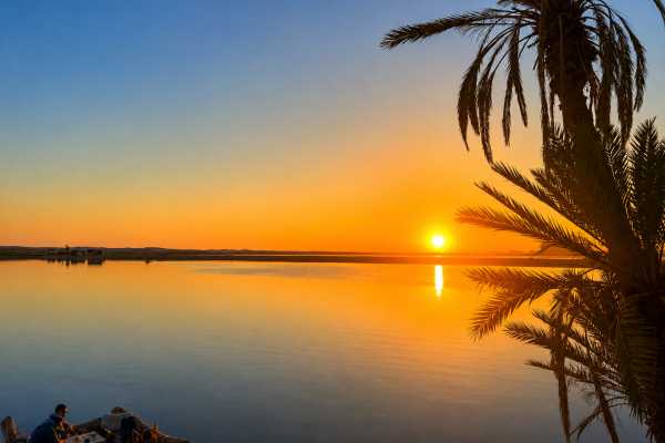 1 Day Bahariya Oasis Tour
