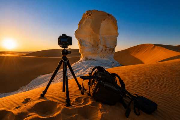 1 Day Bahariya Oasis Tour