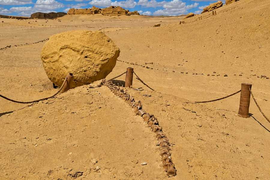 Let`s Explore Egypt Day Bahariya Oasis Tour