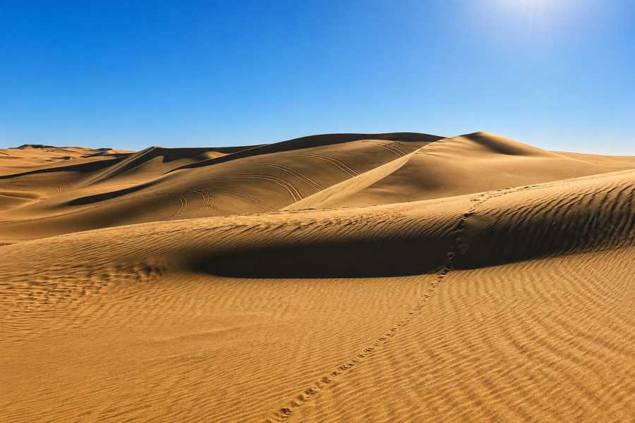 Let`s Explore Egypt 2 Days White Desert Camping