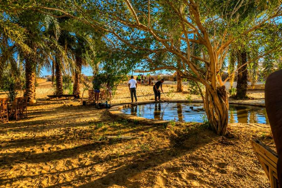 Let`s Explore Egypt 2 Days White Desert Camping