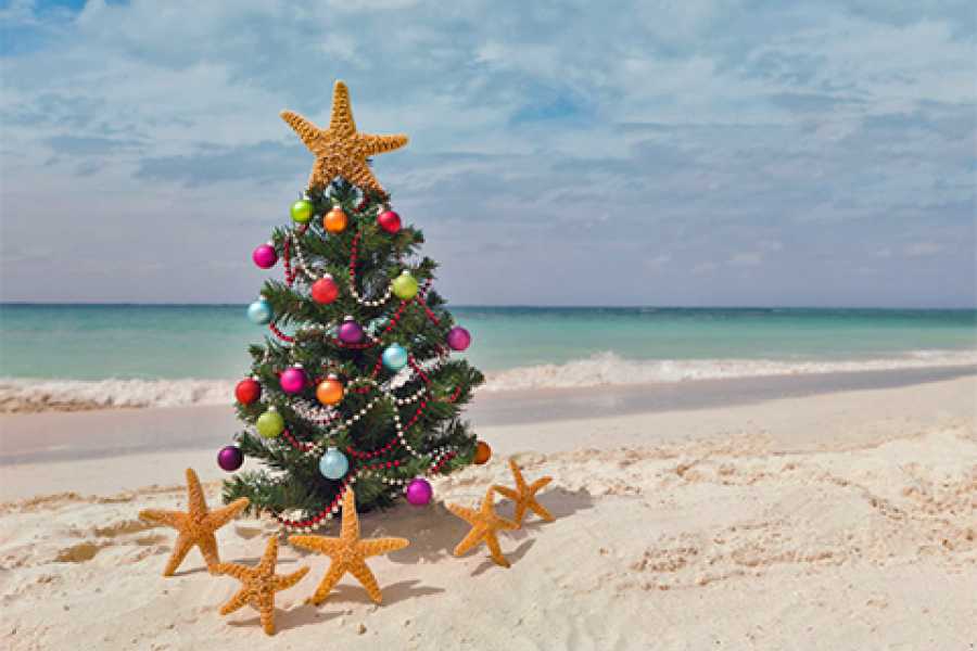 Dream Vacation Tours HOLIDAY CRUISE: 16-DAY CARIBBEAN *NO FLY*  NCL BLISS CRUISE & NYC TOUR (FROM NS & NB)