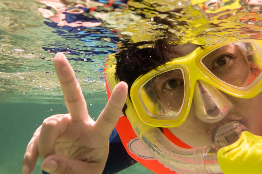 Tour Guanacaste RIU Catamaran Snorkeling and Nature Tour