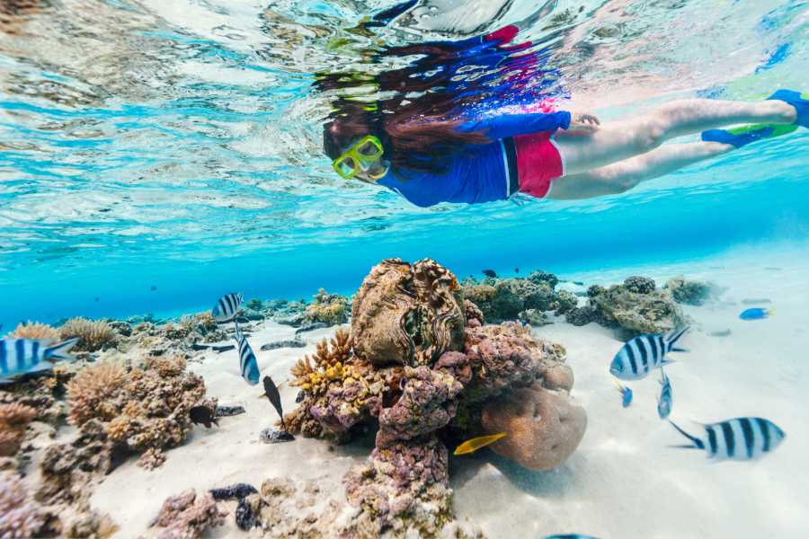 Tour Guanacaste RIU Catamaran Snorkeling and Nature Tour