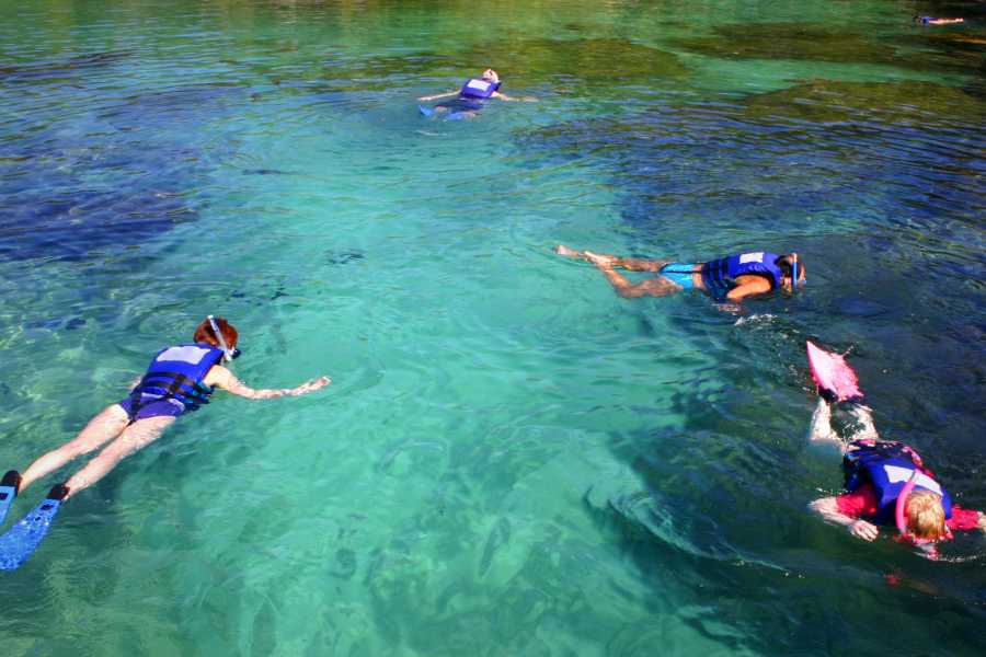 Tour Guanacaste RIU Catamaran Snorkeling and Nature Tour