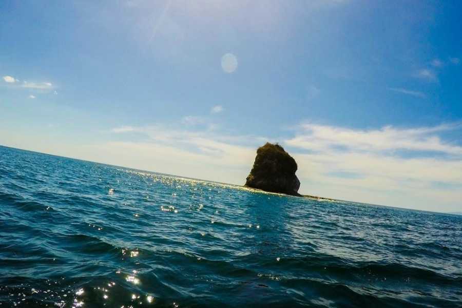 Tour Guanacaste RIU Catamaran Snorkeling and Nature Tour