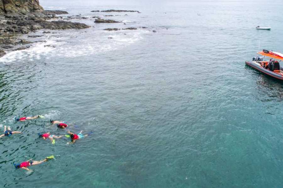 Tour Guanacaste RIU Catamaran Snorkeling and Nature Tour