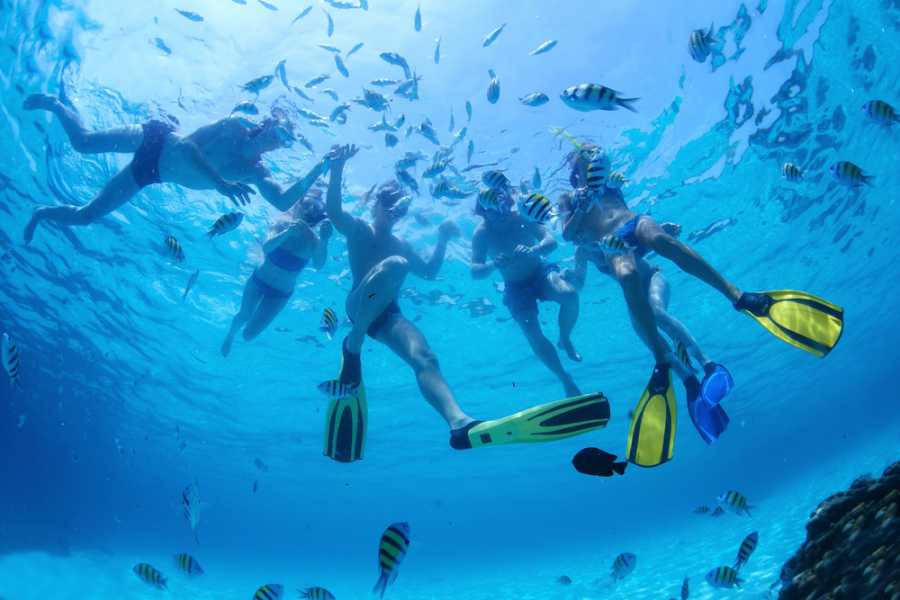 Tour Guanacaste RIU Catamaran Snorkeling and Nature Tour