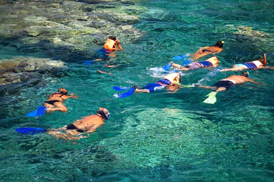 Tour Guanacaste RIU Catamaran Snorkeling and Nature Tour