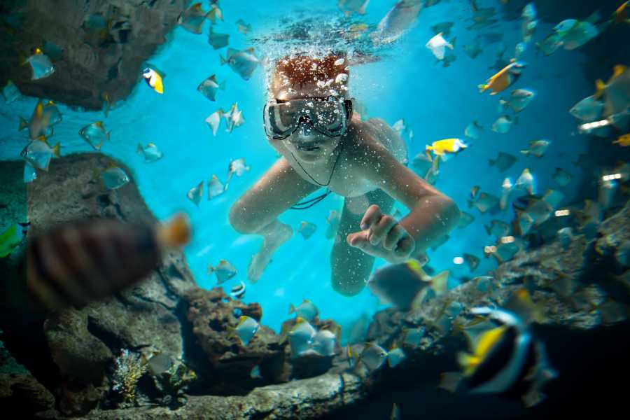 Tour Guanacaste RIU Catamaran Snorkeling and Nature Tour