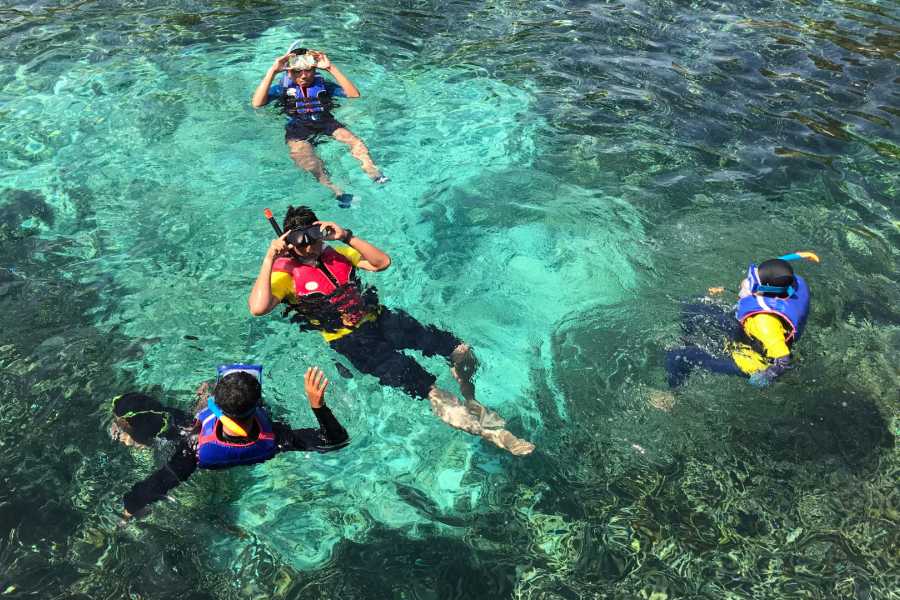Tour Guanacaste RIU Catamaran Snorkeling and Nature Tour