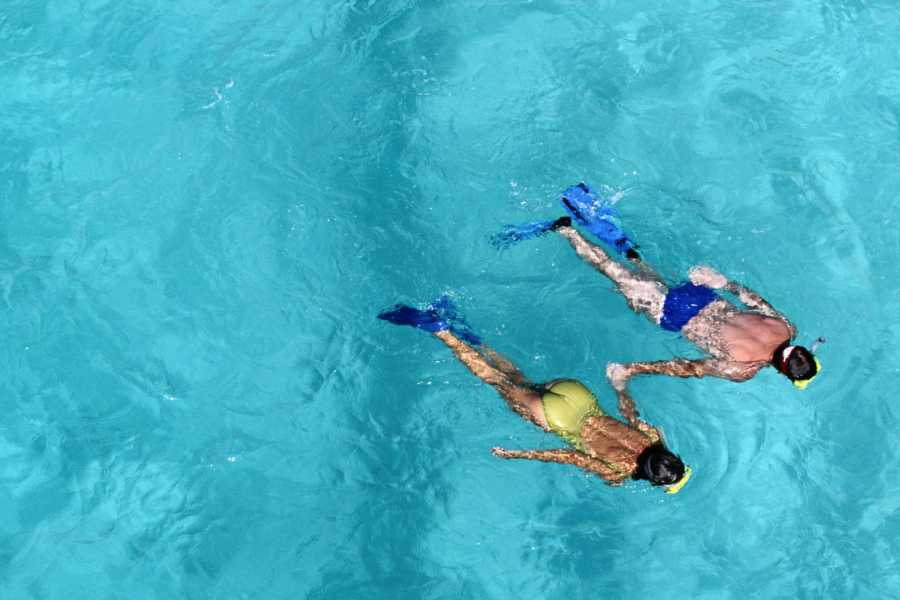 Tour Guanacaste RIU Catamaran Snorkeling and Nature Tour