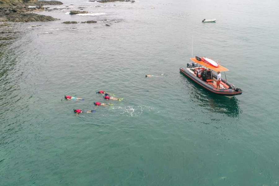 Tour Guanacaste RIU Catamaran Snorkeling and Nature Tour