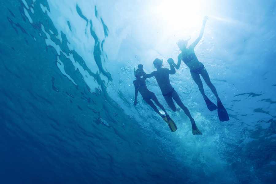 Tour Guanacaste RIU Catamaran Snorkeling and Nature Tour