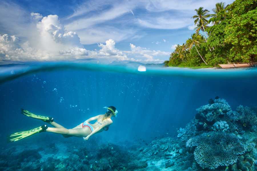Tour Guanacaste RIU Catamaran Snorkeling and Nature Tour