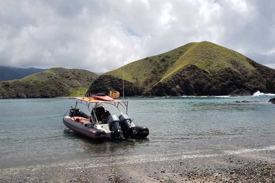 Tour Guanacaste RIU Catamaran Snorkeling and Nature Tour