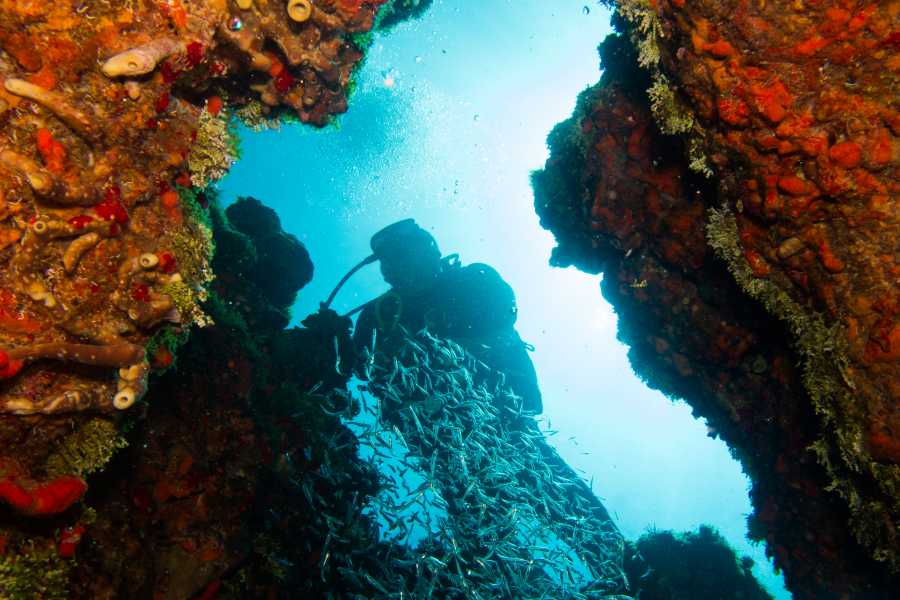 Tour Guanacaste RIU Catamaran Snorkeling and Nature Tour