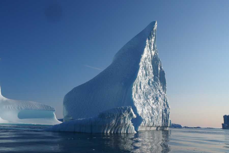 Diskobay Tours Ilimanaq Whale Watching