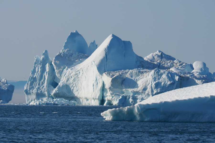 Diskobay Tours Ilimanaq Whale Watching