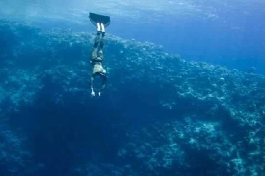 Egypt Tour packages 15 Days Egypt Tour Package Cairo and Sharm el sheikh