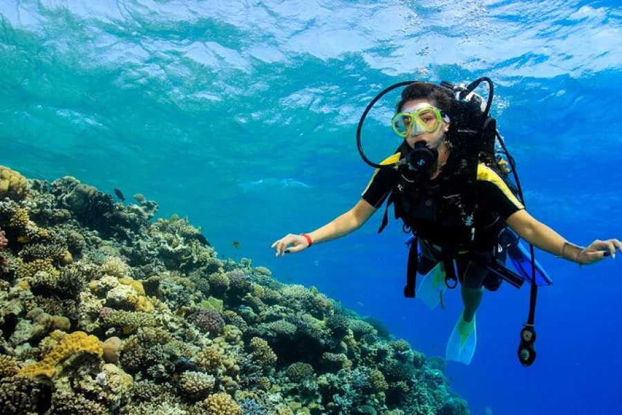 Egypt Tour packages 15 Days Egypt Tour Package Cairo and Sharm el sheikh