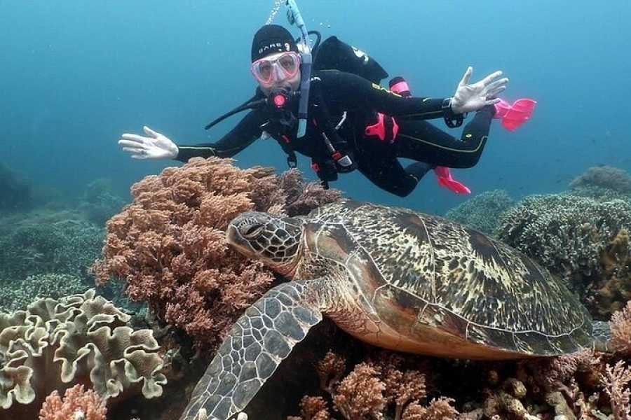 Egypt Tour packages 15 Days Egypt Tour Package Cairo and Sharm el sheikh