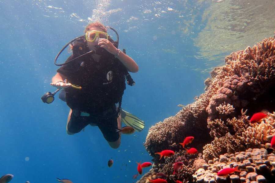 Egypt Tour packages Marsa Mubarak Snorkeltur Fra Marsa Alam