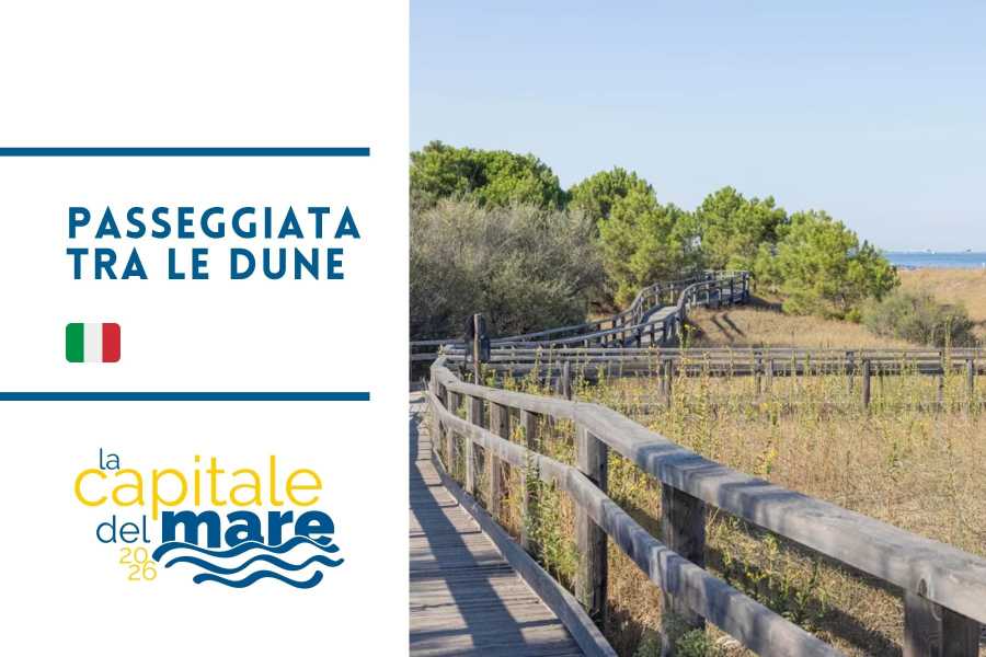 Ravenna Incoming (ERW) Passeggiata tra le dune alla scoperta dell'ecosistema costiero