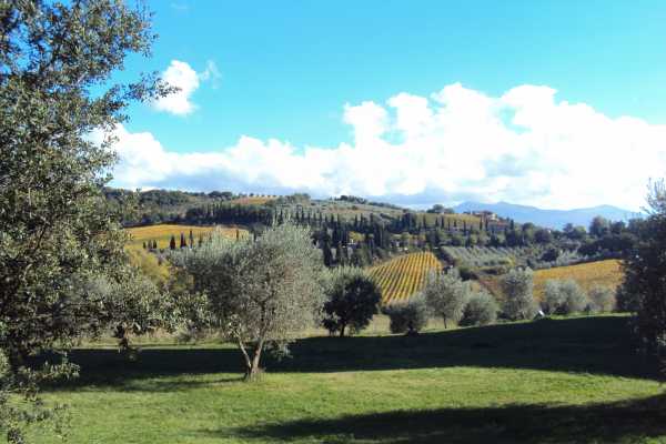 'Tuscan Wine Tour' - Full day