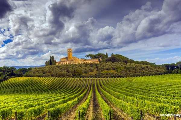 'Tuscan Wine Tour' - Full day